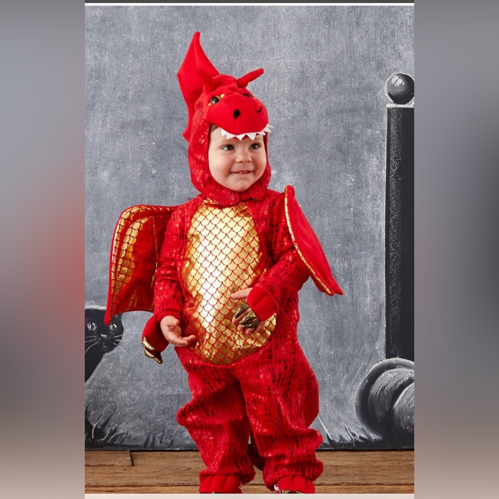 Pottery Barn Kids Red and Gold Dragon Costume